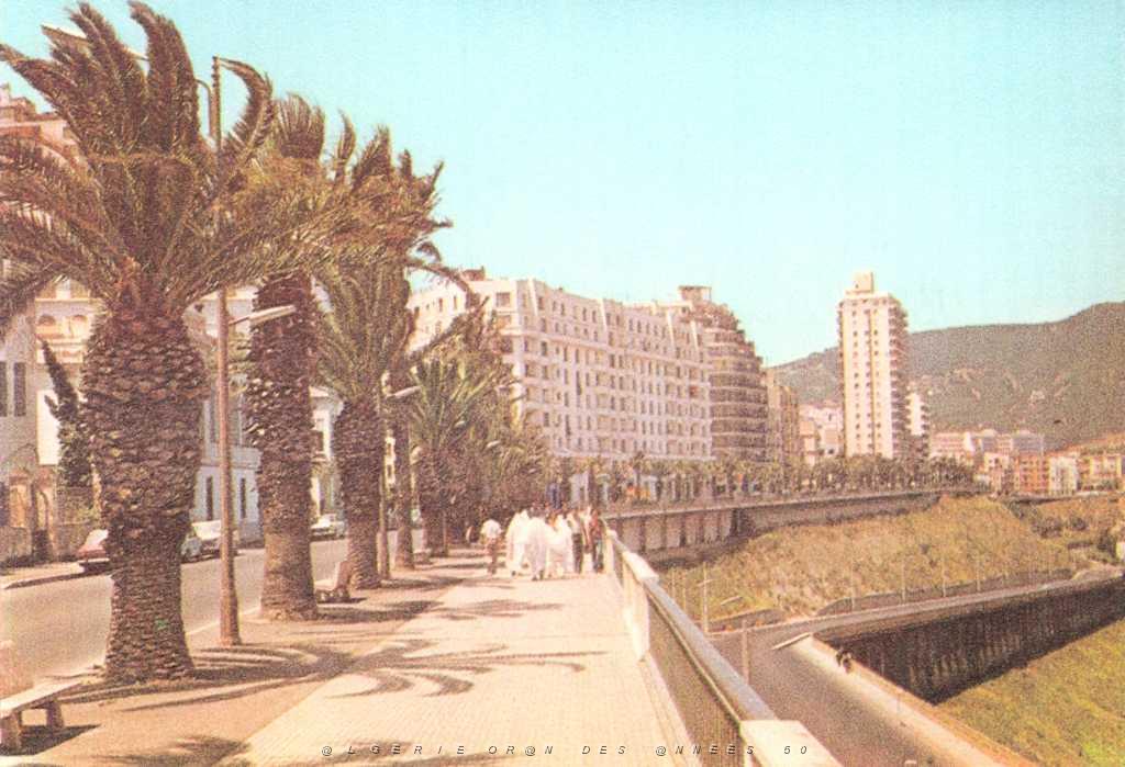 ORAN 008.JPG